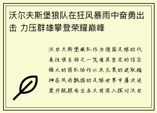 沃尔夫斯堡狼队在狂风暴雨中奋勇出击 力压群雄攀登荣耀巅峰